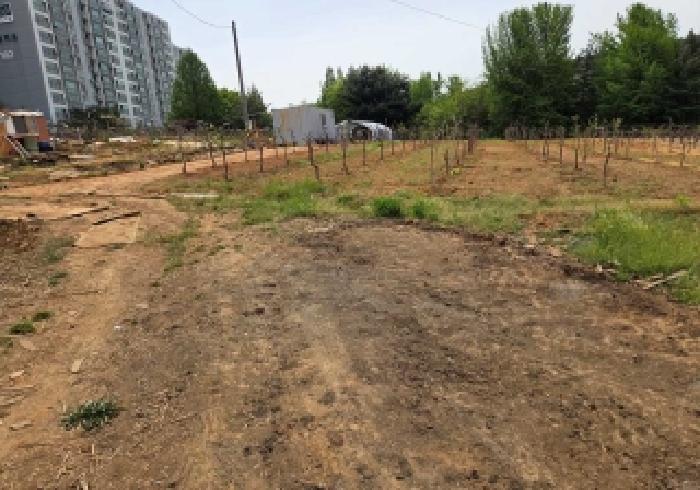 충남 아산시 실옥동 전답 경매 물건 사진 5 · 2026타경156