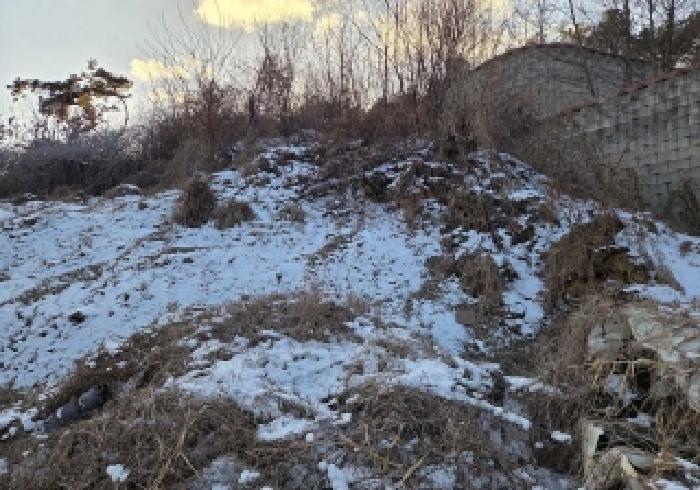 충남 아산시 점양동 임야 경매 물건 사진 4 · 2026타경20