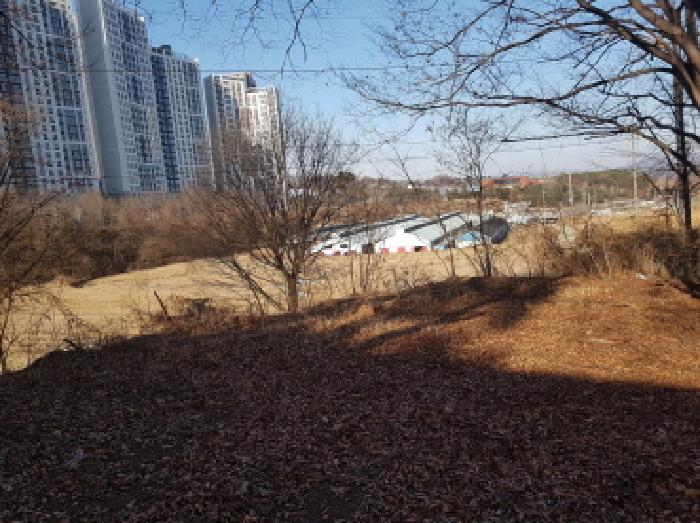 충남 천안시 동남구 풍세면 대지,임야,전답 경매 물건 사진 5 · 2026타경24