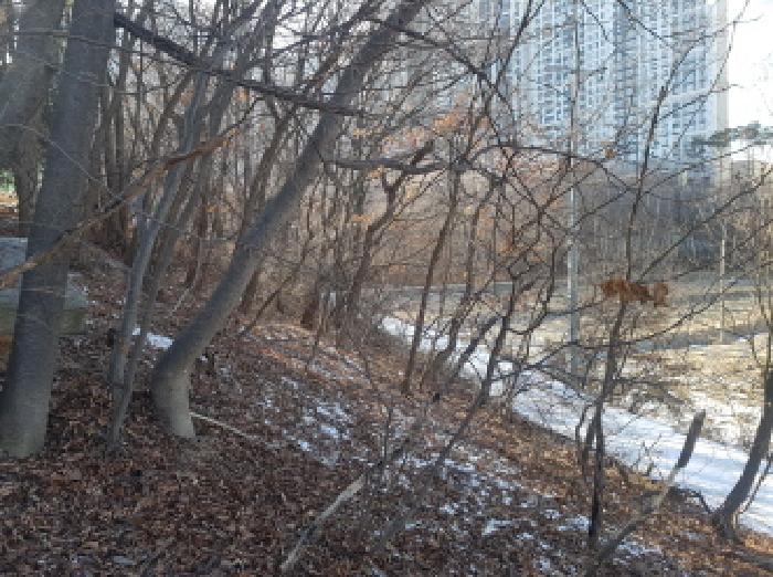 충남 천안시 동남구 풍세면 대지,임야,전답 경매 물건 사진 6 · 2026타경24