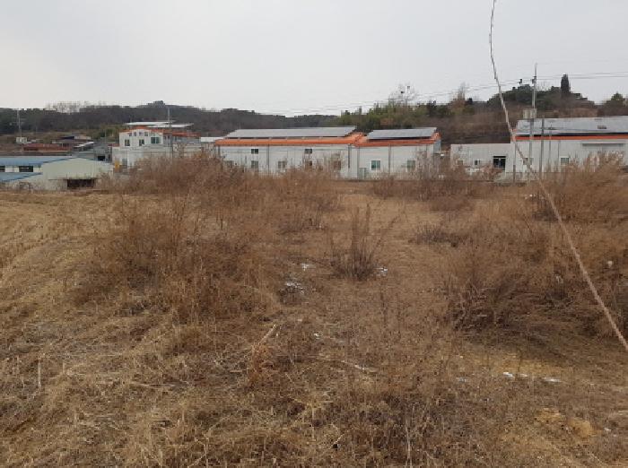 충남 천안시 동남구 성남면 전답 경매 물건 사진