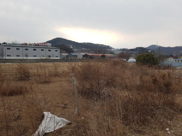 충남 천안시 동남구 성남면 전답 경매 물건 사진 2 · 2026타경25