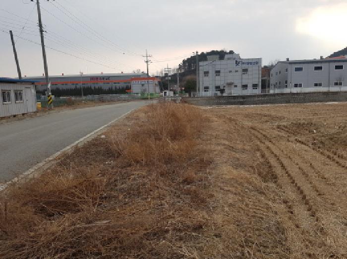 충남 천안시 동남구 성남면 전답 경매 물건 사진 6 · 2026타경25