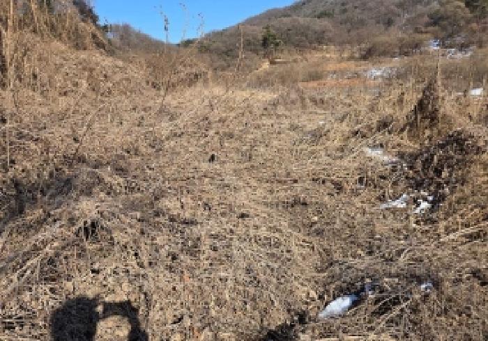 충남 아산시 영인면 전답 경매 물건 사진 4 · 2026타경39