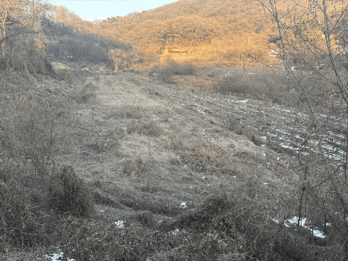충남 아산시 영인면 전답 경매 물건 사진 5 · 2026타경39