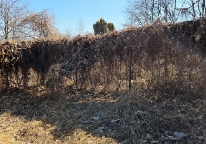 충남 아산시 인주면 대지,임야,전답 경매 물건 사진 4 · 2026타경58