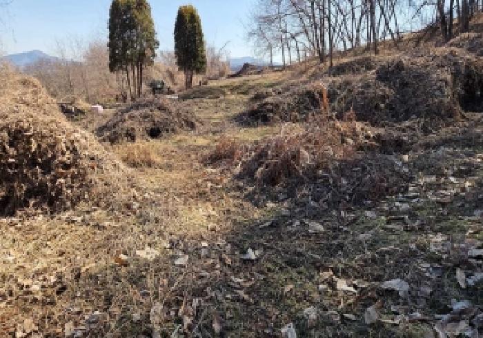 충남 아산시 인주면 대지,임야,전답 경매 물건 사진 5 · 2026타경58