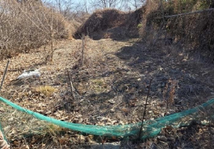 충남 아산시 인주면 대지,임야,전답 경매 물건 사진 2 · 2026타경58