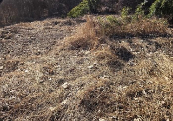충남 아산시 인주면 대지,임야,전답 경매 물건 사진 3 · 2026타경58