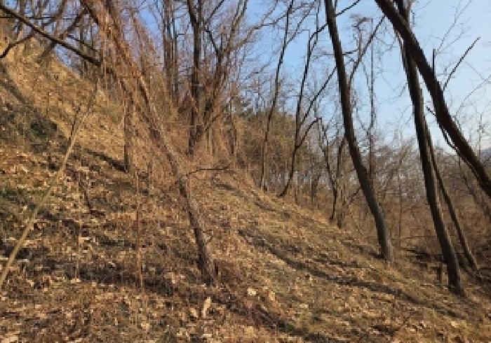 충남 아산시 배방읍 임야 경매 물건 사진
