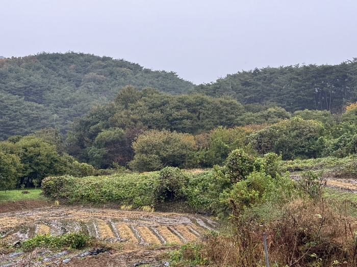 충청남도 청양군 화성면 구재리 87 전 경매 물건 사진