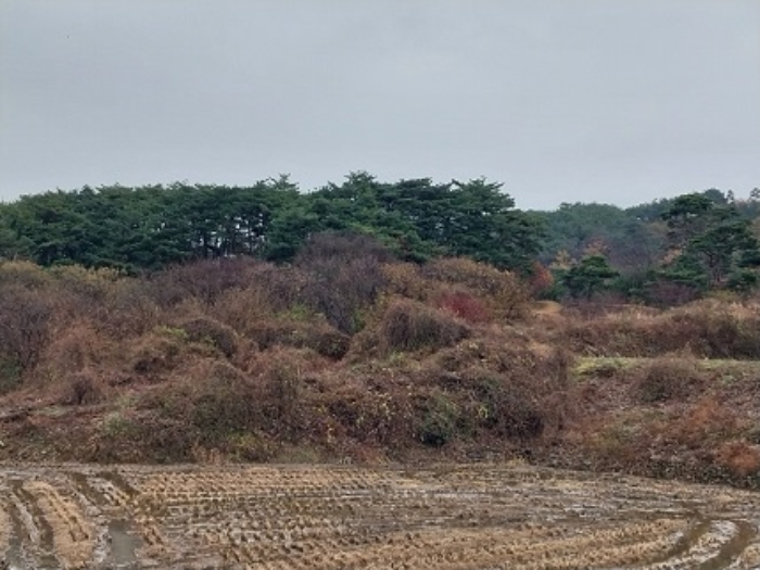충남 청양군 화성면 전 경매 물건 사진