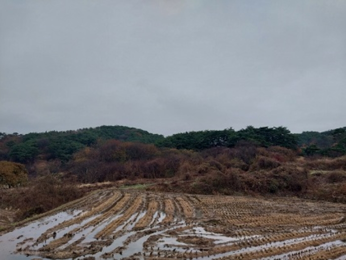 충남 청양군 화성면 전 경매 물건 사진 2 · 2024타경1233