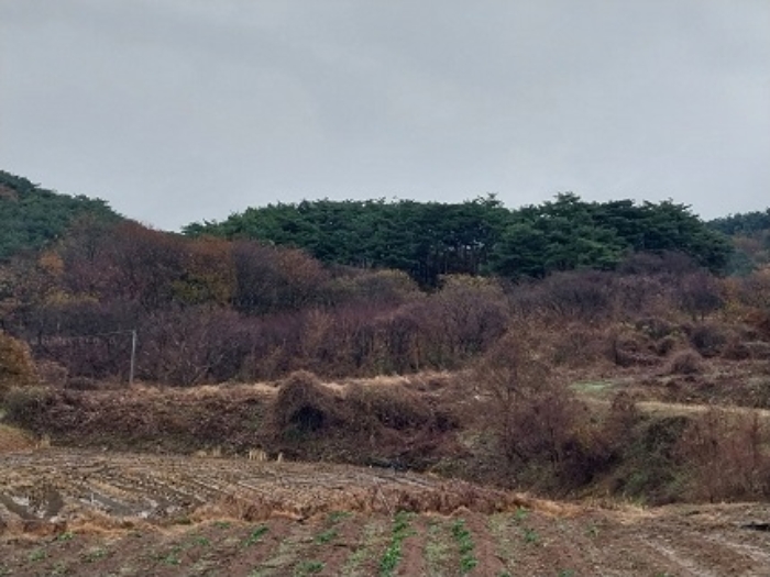 충남 청양군 화성면 전 경매 물건 사진 3 · 2024타경1233