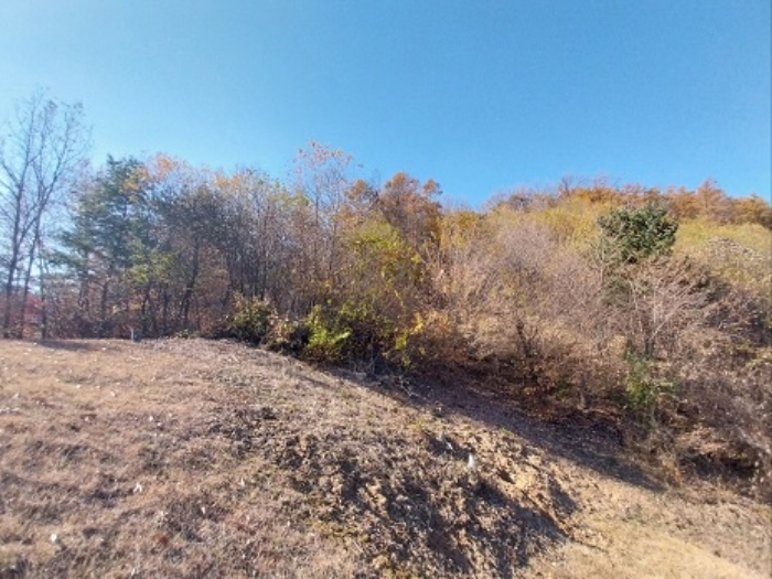 충남 공주시 계룡면 임야 경매 물건 사진