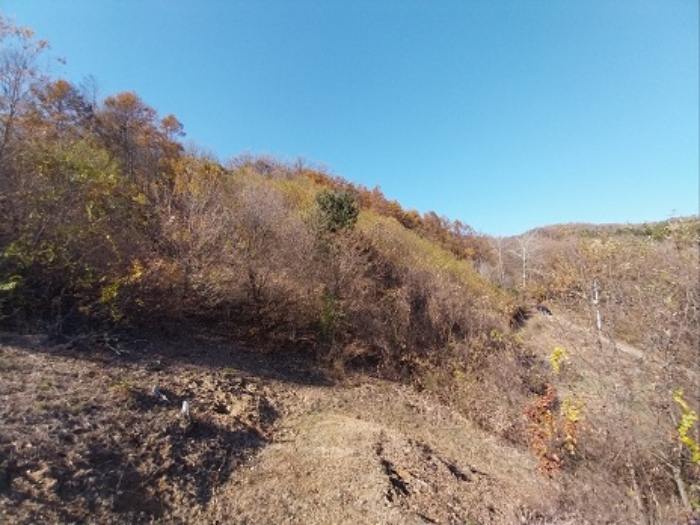 충남 공주시 계룡면 임야 경매 물건 사진 2 · 2024타경1257