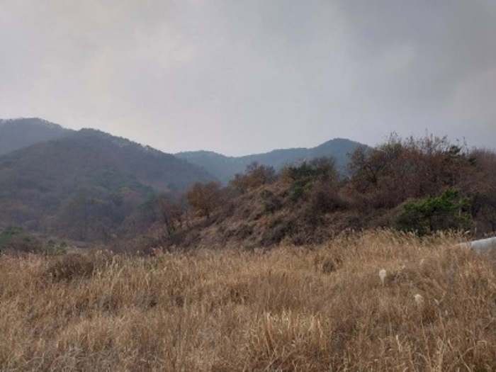 충남 공주시 사곡면 임야 경매 물건 사진