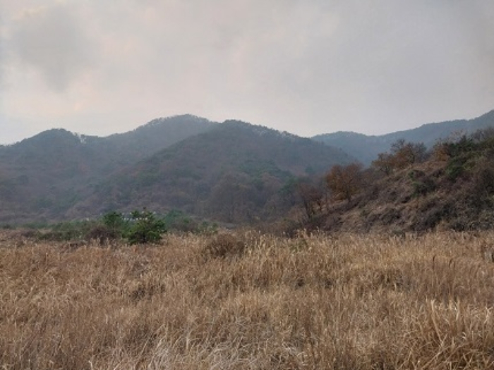 충남 공주시 사곡면 임야 경매 물건 사진 2 · 2024타경1332