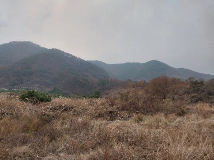 충남 공주시 사곡면 임야 경매 물건 사진 3 · 2024타경1332