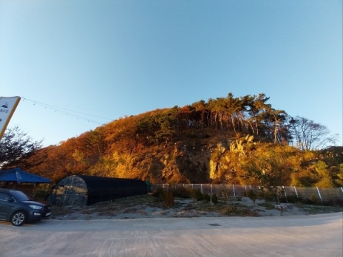 충남 공주시 무릉동 임야 경매 물건 사진