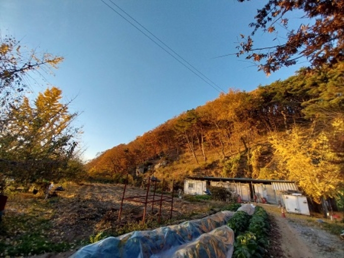 충남 공주시 무릉동 임야 경매 물건 사진 2 · 2024타경1349