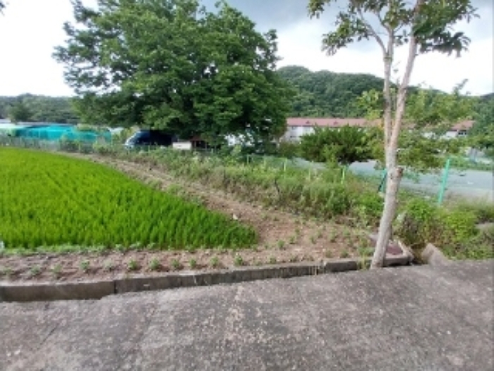 충남 공주시 신풍면 답 경매 물건 사진 3 · 2024타경21114