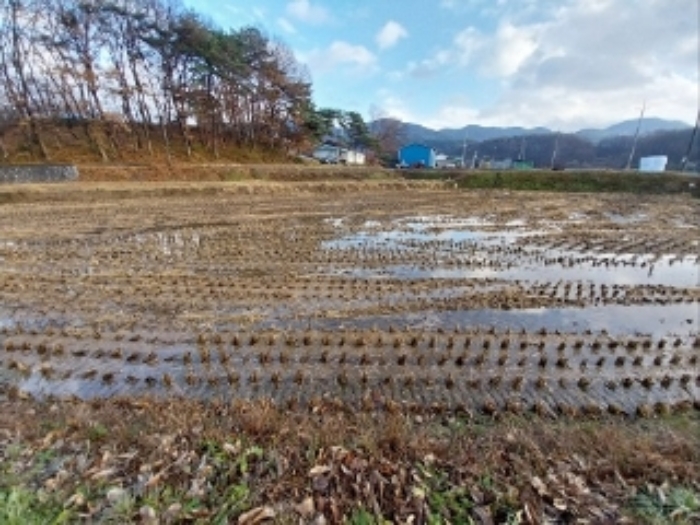 충남 청양군 비봉면 답 경매 물건 사진 2 · 2024타경21992