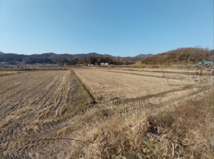 충남 공주시 유구읍 공장/지식산업센터 경매 물건 사진 4 · 2025타경101