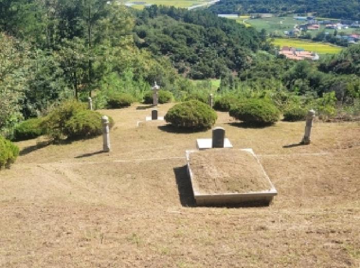 충남 공주시 유구읍 임야 경매 물건 사진