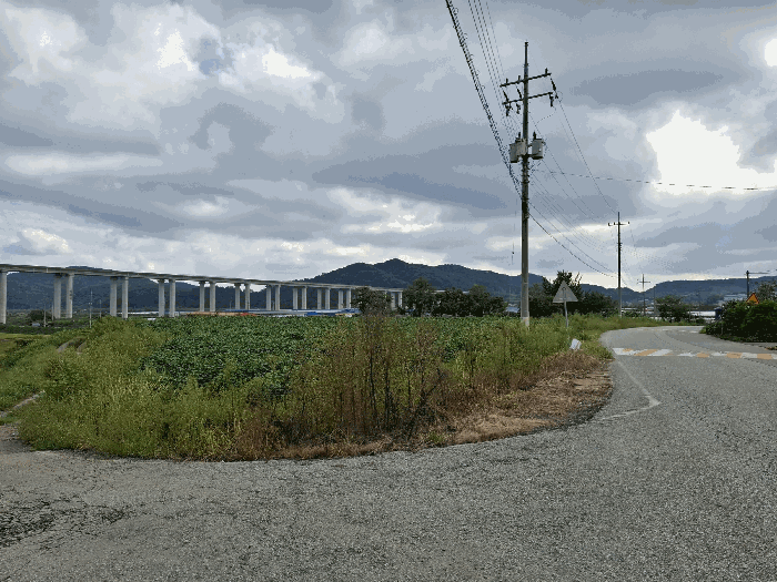 충청남도 청양군 정산면 학암리 263-1 전답 경매 물건 사진