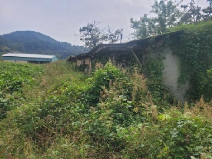 충남 청양군 정산면 전답 경매 물건 사진 4 · 2025타경105