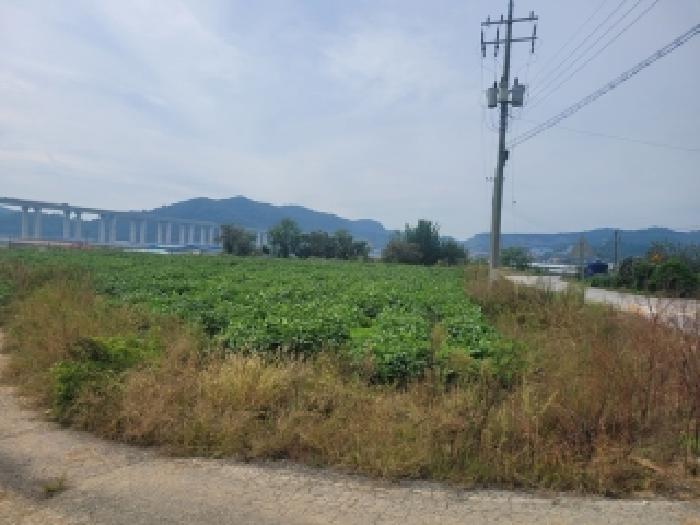 충남 청양군 정산면 전답 경매 물건 사진 2 · 2025타경105