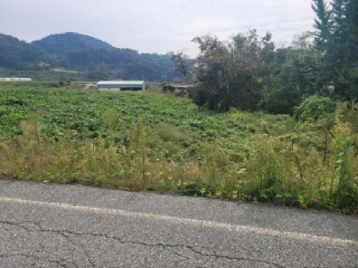 충남 청양군 정산면 전답 경매 물건 사진 3 · 2025타경105