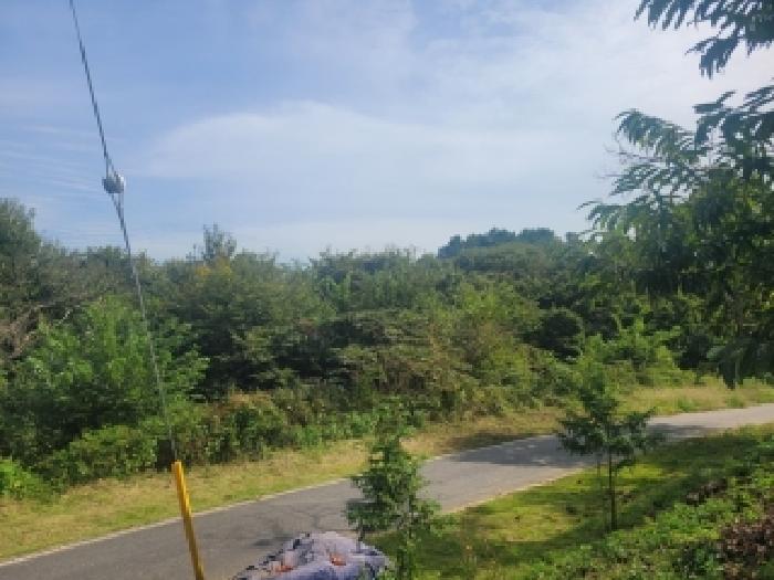 충남 공주시 계룡면 임야 경매 물건 사진 5 · 2025타경106