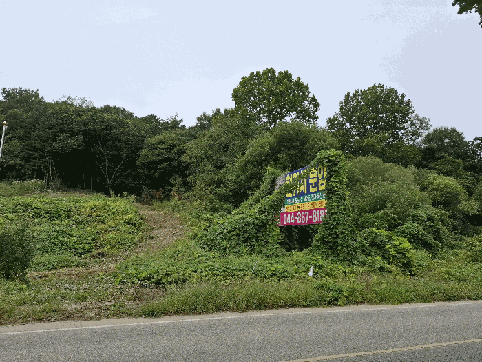 충남 공주시 계룡면 임야 경매 물건 사진 3 · 2025타경109