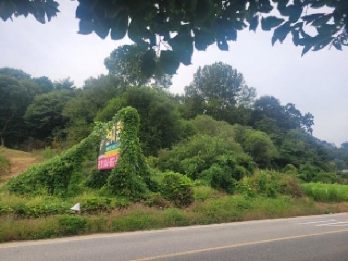 충남 공주시 계룡면 임야 경매 물건 사진