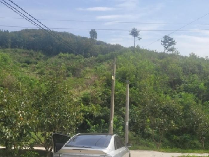 충남 공주시 탄천면 임야 경매 물건 사진 3 · 2025타경110
