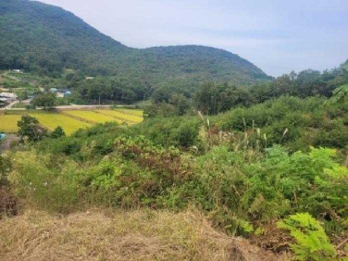 충남 공주시 탄천면 임야 경매 물건 사진 4 · 2025타경110