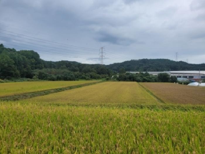 충남 공주시 이인면 답 경매 물건 사진