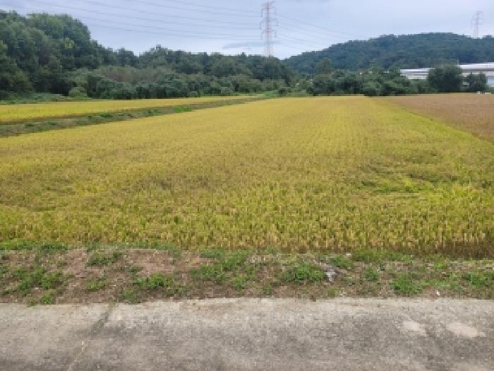 충남 공주시 이인면 답 경매 물건 사진 2 · 2025타경112