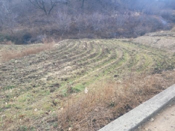 충남 공주시 유구읍 대지,임야,전답 경매 물건 사진 2 · 2025타경136