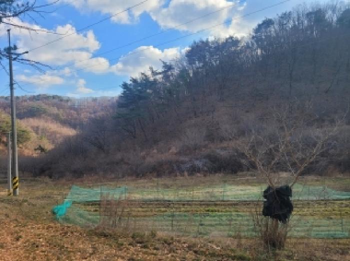 충남 공주시 유구읍 대지,임야,전답 경매 물건 사진 4 · 2025타경136