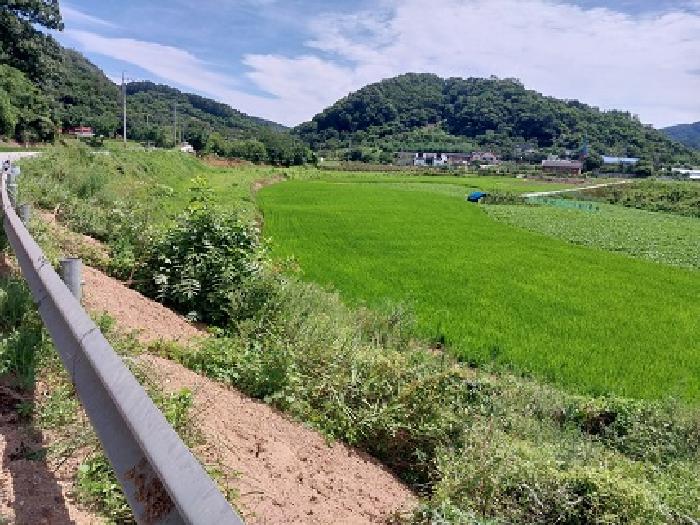 충남 공주시 사곡면 답 경매 물건 사진 5 · 2025타경20267