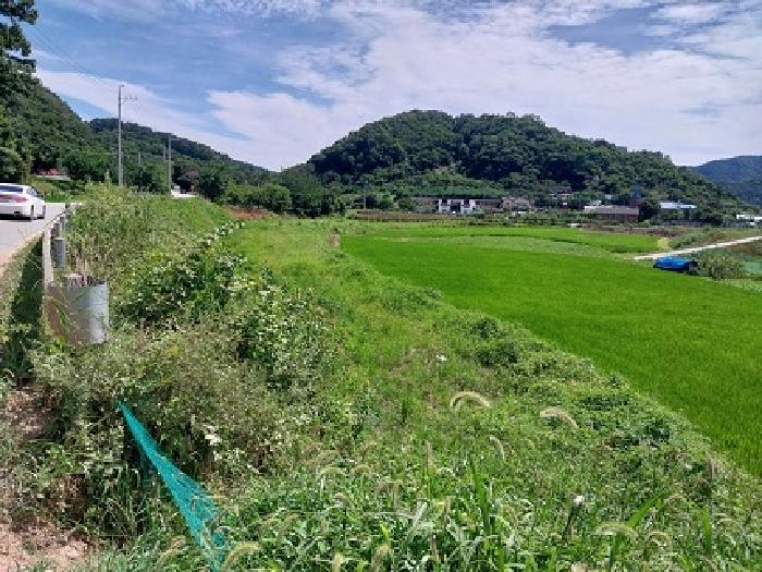 충남 공주시 사곡면 답 경매 물건 사진 6 · 2025타경20267