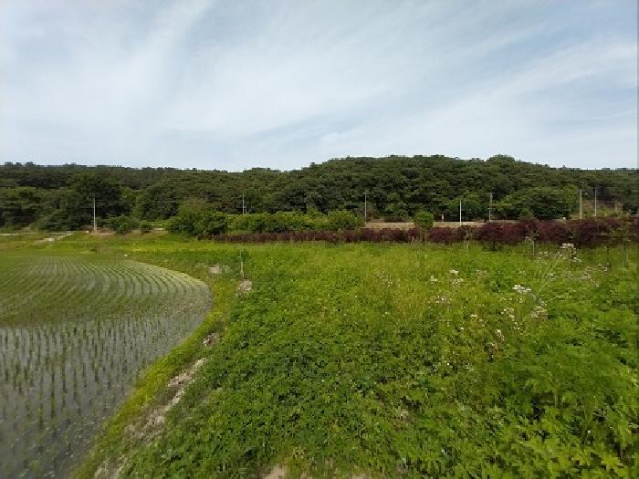 충남 공주시 사곡면 답 경매 물건 사진 3 · 2025타경20267
