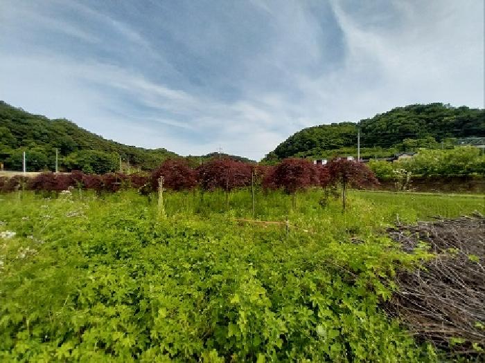 충남 공주시 사곡면 답 경매 물건 사진 4 · 2025타경20267