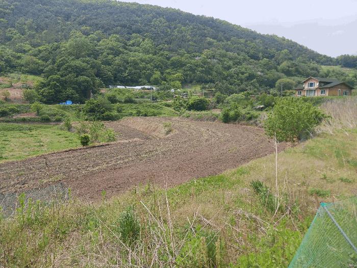 충남 공주시 유구읍 답 경매 물건 사진 2 · 2025타경20282