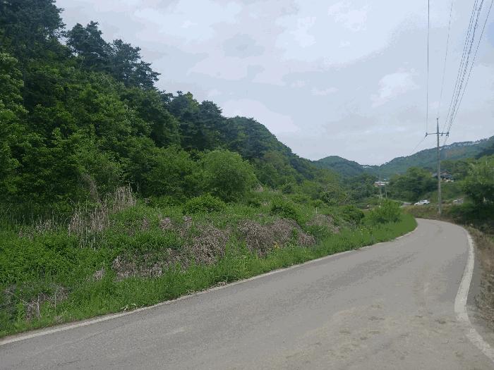 충남 공주시 유구읍 답 경매 물건 사진 6 · 2025타경20282