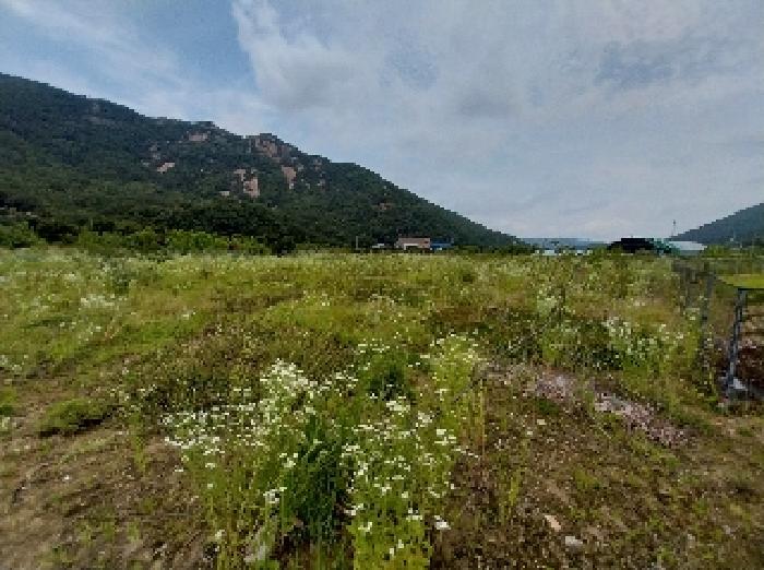 충남 공주시 반포면 전 경매 물건 사진 3 · 2025타경20288