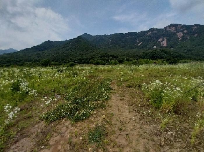 충남 공주시 반포면 전 경매 물건 사진 4 · 2025타경20288